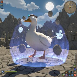 FFXI &mdash; A Duck, Reportedly Telekinetic