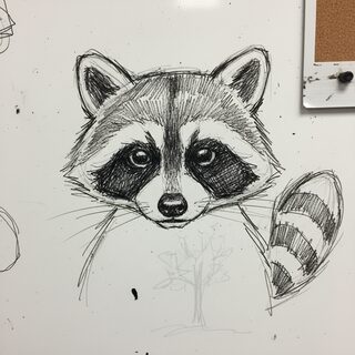 whiteboard &mdash; Raccoon